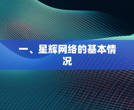 一、星辉网络的基本情况
