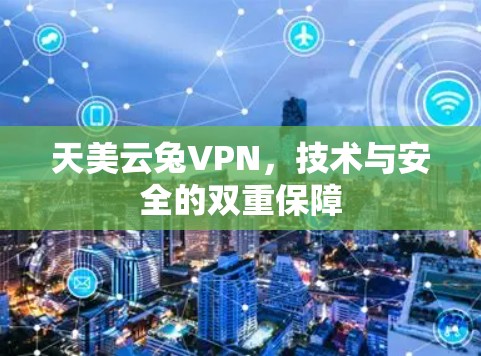 天美云兔VPN，技术与安全的双重保障