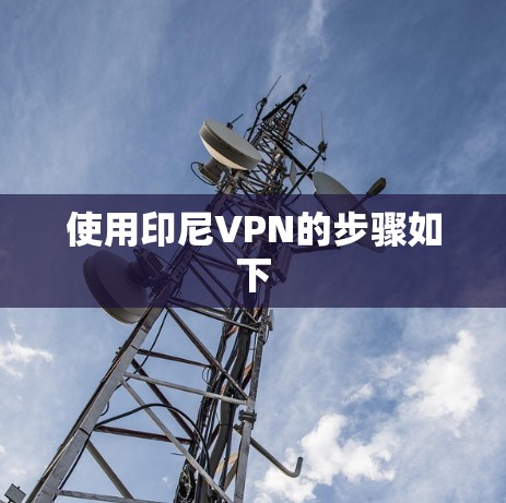 使用印尼VPN的步骤如下