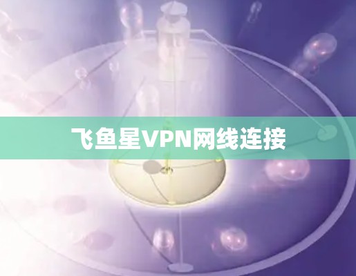 飞鱼星VPN网线连接