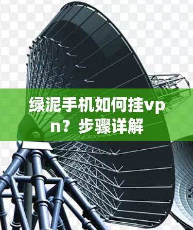 绿泥手机如何挂vpn？步骤详解