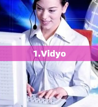 1.Vidyo