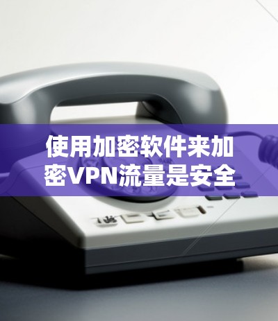 使用加密软件来加密VPN流量是安全的一种方式，以下是详细的步骤指南