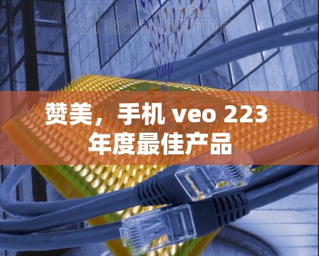 赞美，手机 veo 223 年度最佳产品