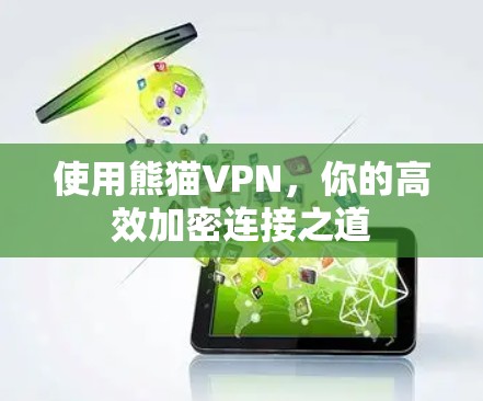 使用熊猫VPN,你的高效加密连接之道 使用熊猫VPN,你的高效加密连接之道