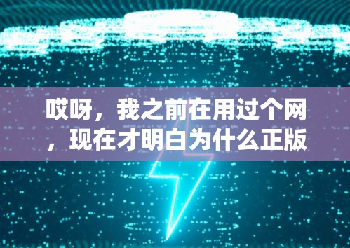 哎呀，我之前在用过个网，现在才明白为什么正版用什么VPN啊这么绕！
