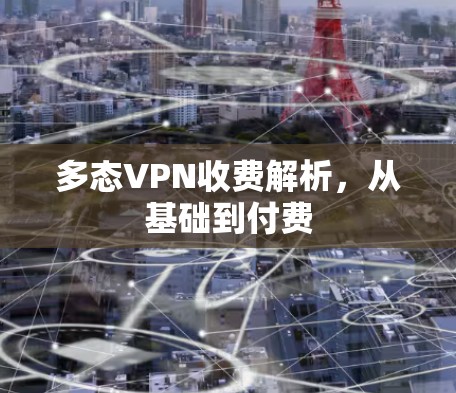 多态VPN收费解析,从基础到付费 多态VPN收费解析,从基础到付费