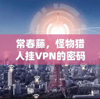 常春藤,怪物猎人挂VPN的密码 常春藤,怪物猎人挂VPN的密码