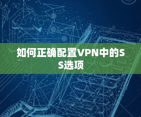 如何正确配置VPN中的SS选项