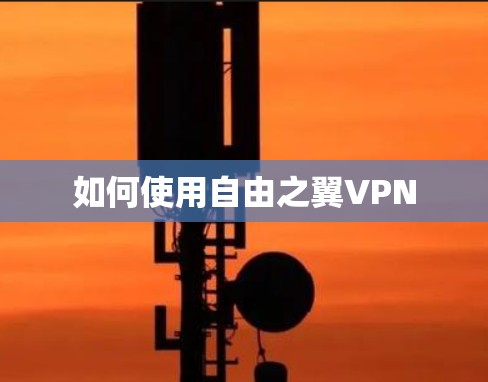 如何使用自由之翼VPN 如何使用自由之翼VPN