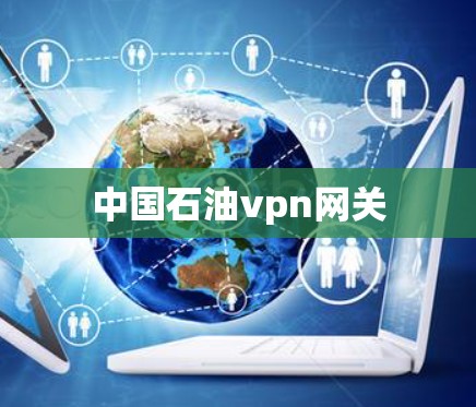 中国石油vpn网关
