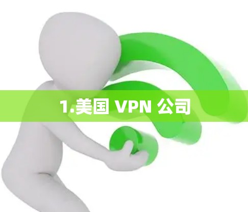 1.美国 VPN 公司 1.美国 VPN 公司