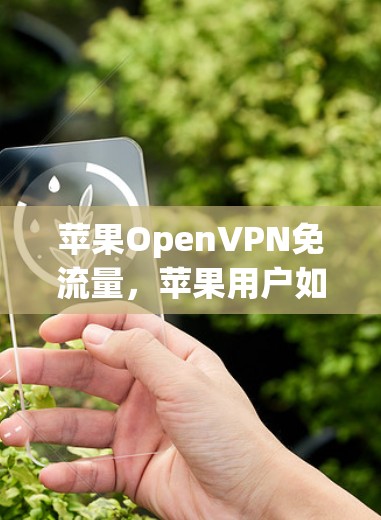 苹果OpenVPN免流量，苹果用户如何高效实现视频通话与文件传输