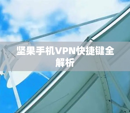 坚果手机VPN快捷键全解析