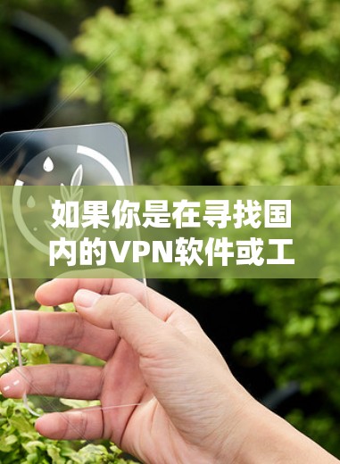 如果你是在寻找国内的VPN软件或工具，以下是一些推荐