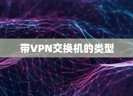 带VPN交换机的类型 带VPN交换机的类型