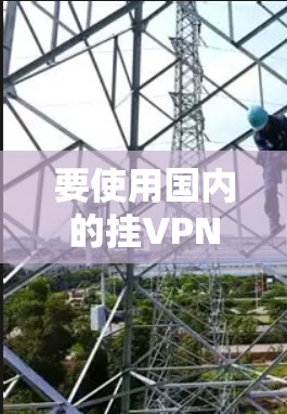 要使用国内的挂VPN软件进行连接，可以按照以下步骤进行