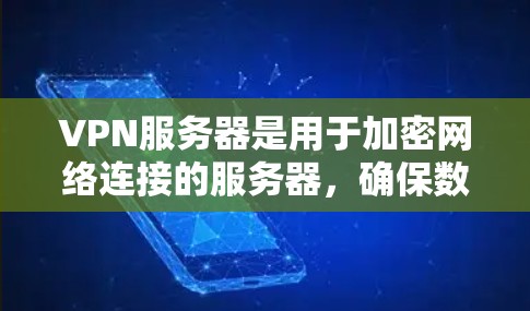 VPN服务器是用于加密网络连接的服务器，确保数据的安全传输。以下是对VPN服务器的详细总结
