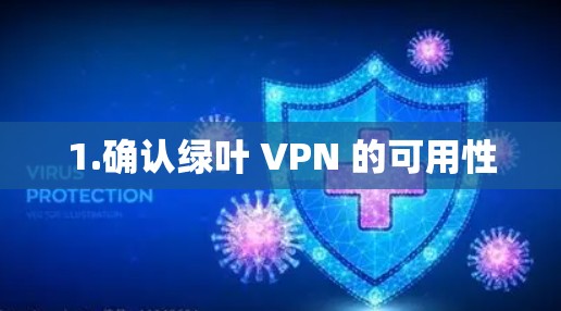 1.确认绿叶 VPN 的可用性 1.确认绿叶 VPN 的可用性