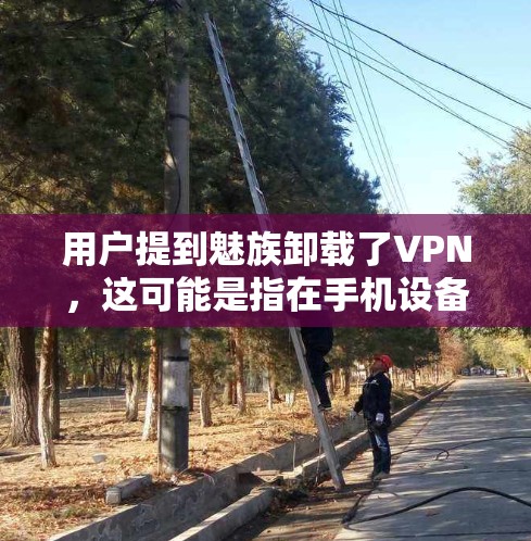 用户提到魅族卸载了VPN，这可能是指在手机设备上卸载了VPN软件。如果你已经安装了VPN软件，想要卸载它，可以按照以下步骤操作