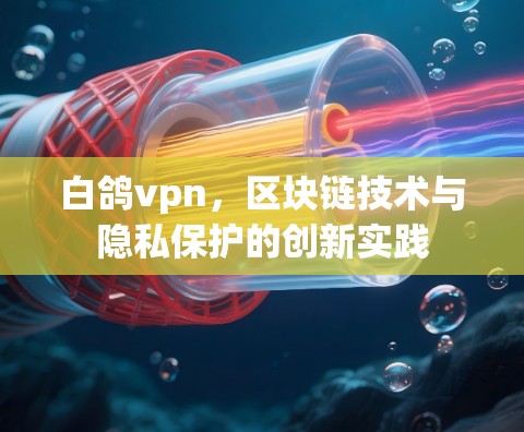 白鸽vpn，区块链技术与隐私保护的创新实践