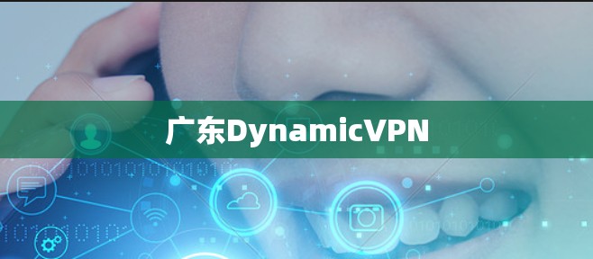 广东DynamicVPN 广东DynamicVPN