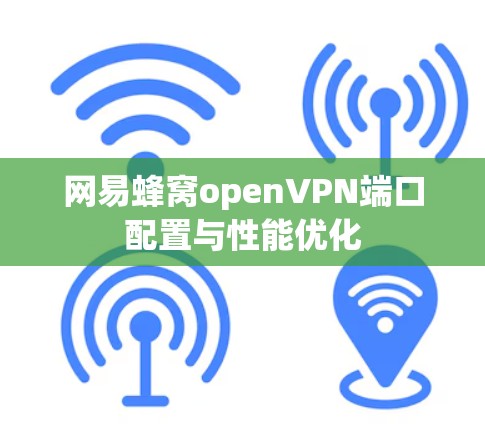 网易蜂窝openVPN端口配置与性能优化 网易蜂窝openVPN端口配置与性能优化