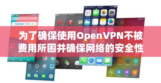 为了确保使用OpenVPN不被费用所困并确保网络的安全性,以下是一个有条理的指南 为了确保使用OpenVPN不被费用所困并确保网络的安全性,以下是一个有条理的指南