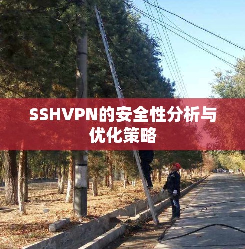 SSHVPN的安全性分析与优化策略