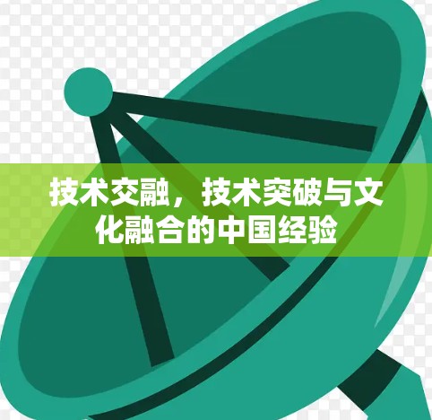 技术交融，技术突破与文化融合的中国经验