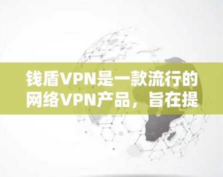 钱盾VPN是一款流行的网络VPN产品，旨在提供安全、高效和易用的网络访问体验。以下是对其安全性的一些关键点
