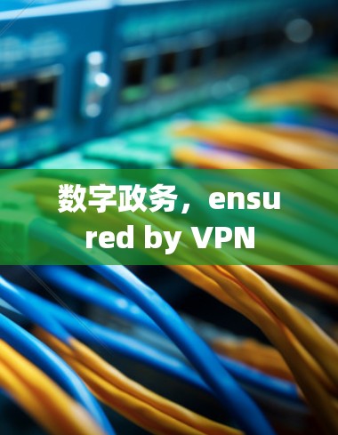 数字政务,ensured by VPN 数字政务,ensured by VPN