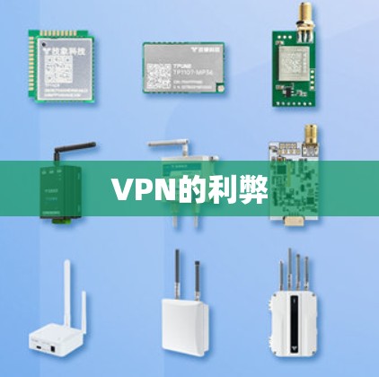 VPN的利弊 VPN的利弊