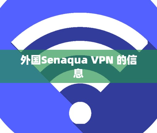 外国Senaqua VPN 的信息