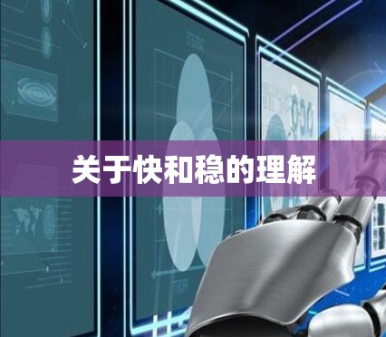 关于快和稳的理解 关于快和稳的理解
