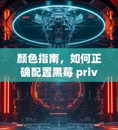 颜色指南，如何正确配置黑莓 priv来连接VPN