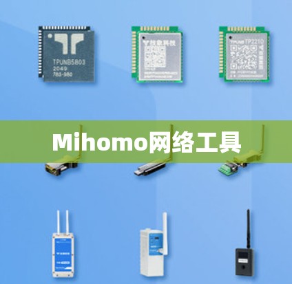 Mihomo网络工具
