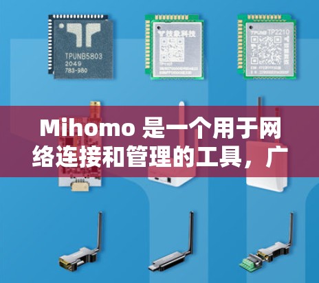 Mihomo 是一个用于网络连接和管理的工具，广泛应用于企业以及个人网络管理中。以下是关于 Mihomo 的详细说明
