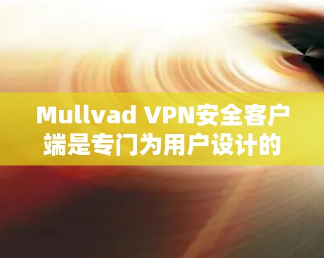 Mullvad VPN安全客户端是专门为用户设计的多端访问 VPN 解决方案，结合了强大的安全性和易用性，适合多种场景。以下是对该应用的详细介绍和推荐