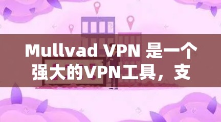 Mullvad VPN 是一个强大的VPN工具，支持Windows用户，旨在提供安全、高效和用户友好的VPN服务。以下是使用 Windows 版本的 Mullvad VPN 软件的详细步骤和教程