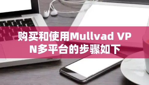 购买和使用Mullvad VPN多平台的步骤如下