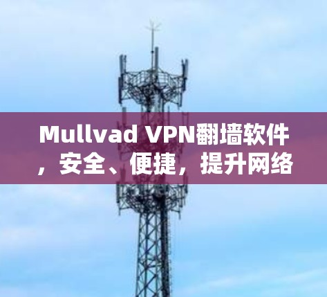 Mullvad VPN翻墙软件，安全、便捷，提升网络体验