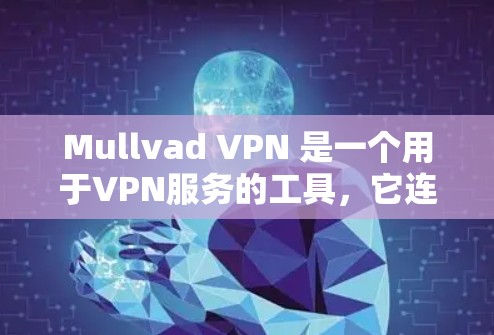 Mullvad VPN 是一个用于VPN服务的工具，它连接到本地服务器节点，允许用户访问远程服务器。以下是关于Mullvad VPN服务器节点和全球网络测速的详细信息