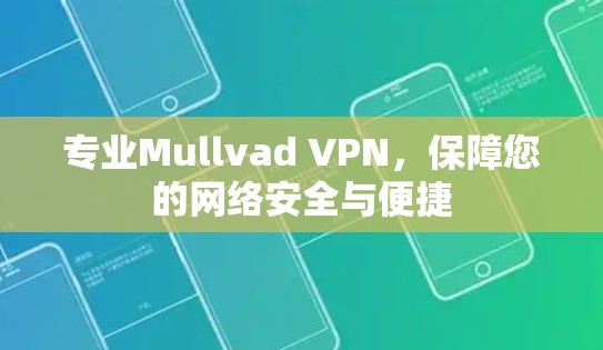 专业Mullvad VPN，保障您的网络安全与便捷