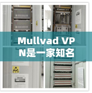 Mullvad VPN是一家知名的VPN公司，提供各种版本的VPN软件，包括免费版和专业版。如果你正在寻找正版软件，可以选择购买正式版软件来确保安全性和稳定性