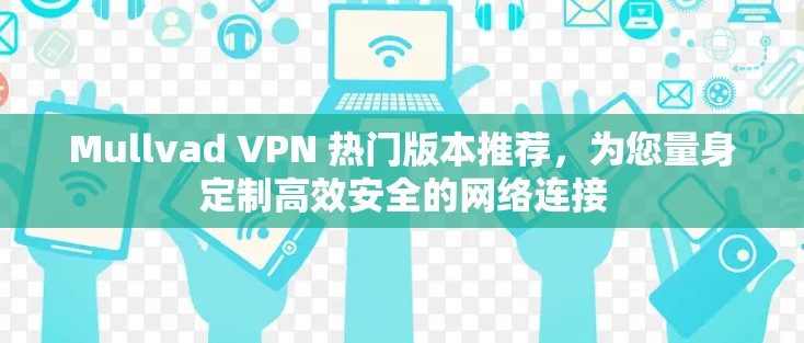 Mullvad VPN 热门版本推荐，为您量身定制高效安全的网络连接