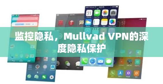 监控隐私，Mullvad VPN的深度隐私保护