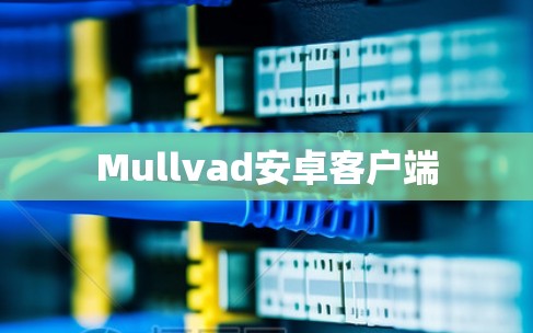 Mullvad安卓客户端