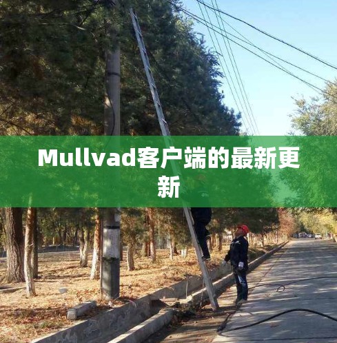 Mullvad客户端的最新更新 Mullvad客户端的最新更新