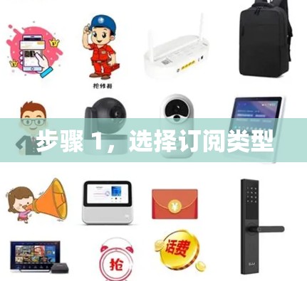 步骤 1，选择订阅类型